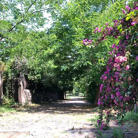 Casa Aranci